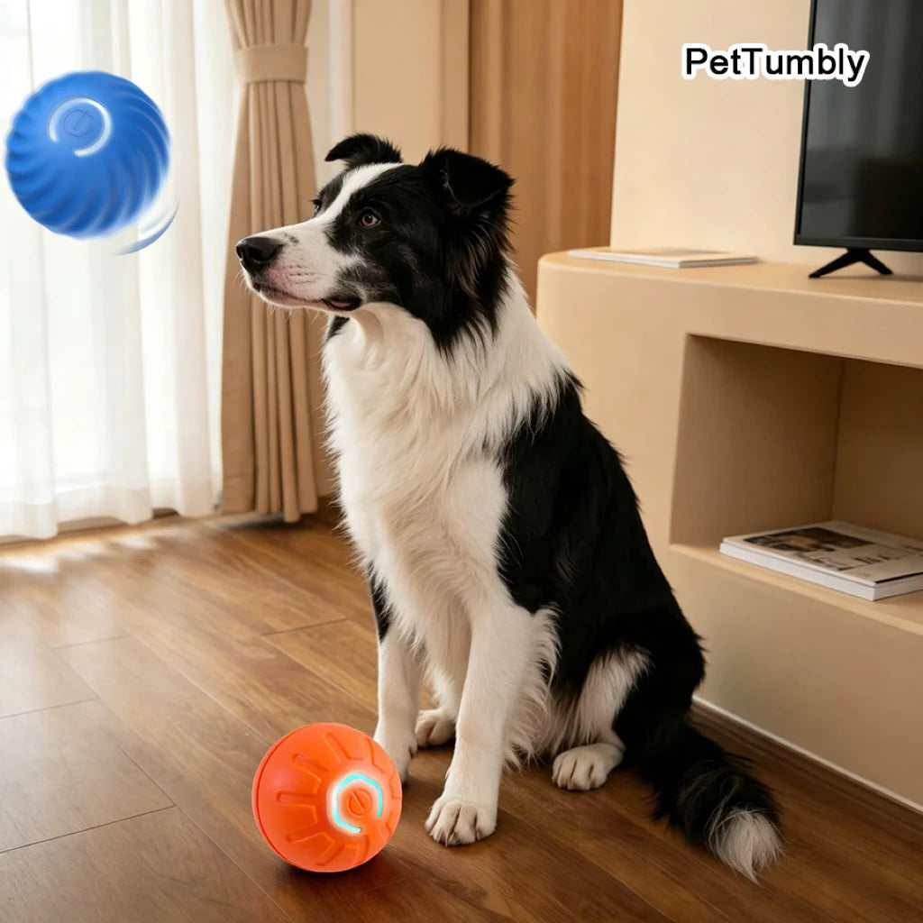 Automatic Interactive Dog Toy Ball Pet Chew Toy Rolling USB Rechargeable Bouncy Ball for Cats Dogs Self-Play Companion Gift